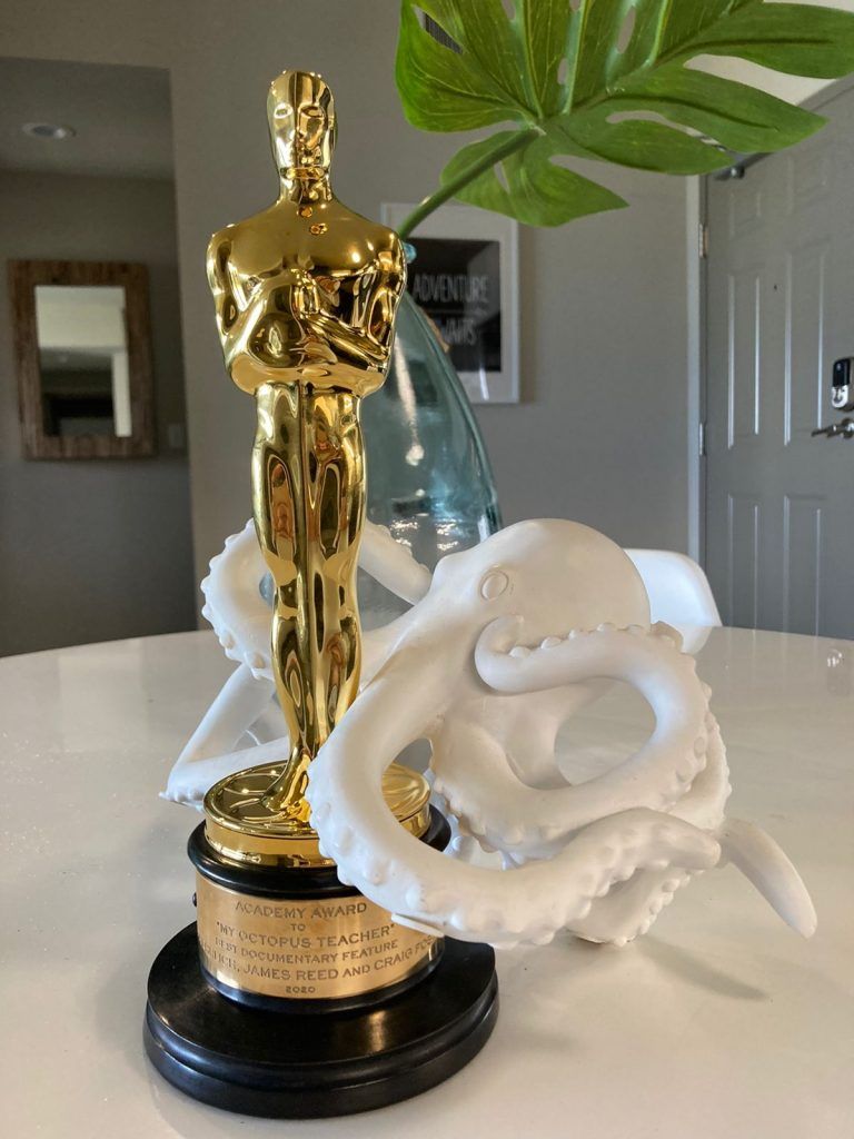 Oscar statuette for My Octopus Teacher